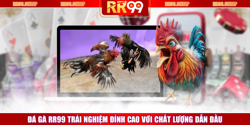 Đá Gà RR99 Trải Nghiệm Đỉnh Cao Với Chất Lượng Dẫn Đầu